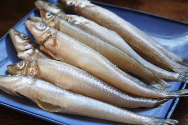 沙丁魚和秋刀魚的區(qū)別是什么 沙丁魚的簡(jiǎn)介