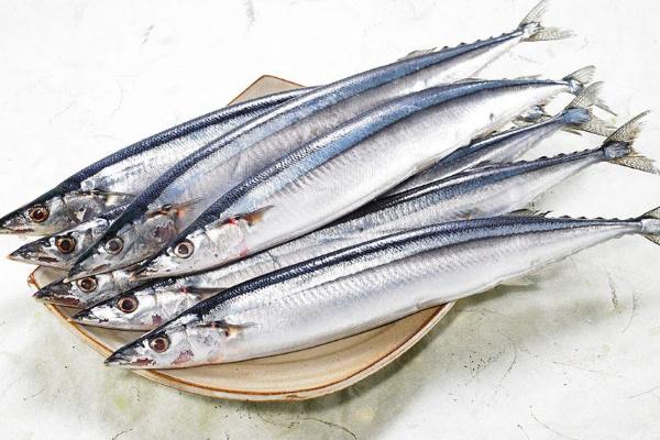 沙丁魚和秋刀魚的區(qū)別是什么 沙丁魚的簡(jiǎn)介