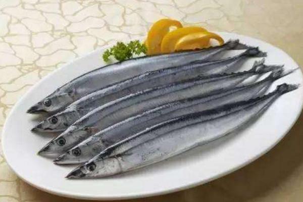 沙丁魚和秋刀魚的區(qū)別是什么 沙丁魚的簡(jiǎn)介