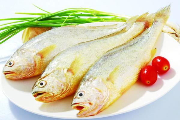 黃花魚怎么做好吃又簡單 黃花魚家常做法大全