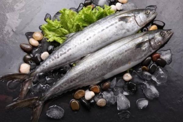 秋刀魚和鲅魚的區別是什么 秋刀魚的功效作用