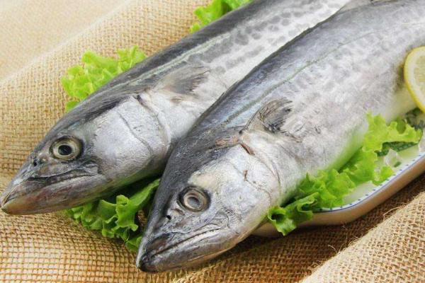 鲅魚功效與作用及禁忌 鲅魚營(yíng)養(yǎng)價(jià)值