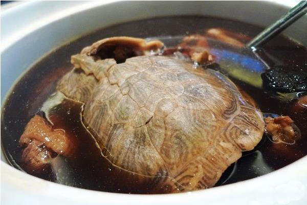 石金錢龜?shù)墓πc作用及禁忌 石金錢龜藥用價(jià)值