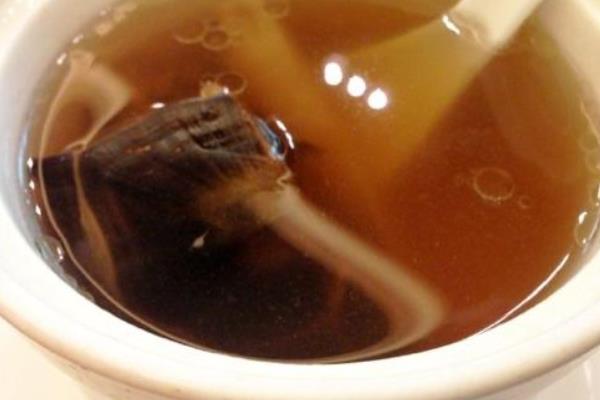 石金錢龜?shù)墓πc作用及禁忌 石金錢龜藥用價(jià)值