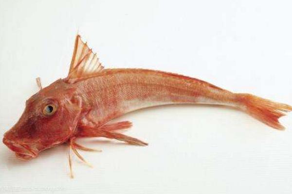 胭脂魚市場(chǎng)價(jià)格多少錢一斤 胭脂魚好吃嗎