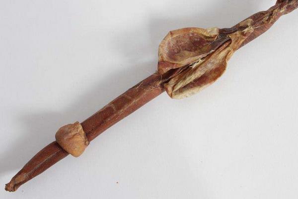 鹿鞭市場價格多少錢一根 鹿鞭怎么吃