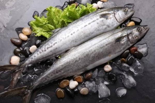 鲅魚市場(chǎng)價(jià)格多少錢一斤 冷凍鲅魚為什么這么便宜