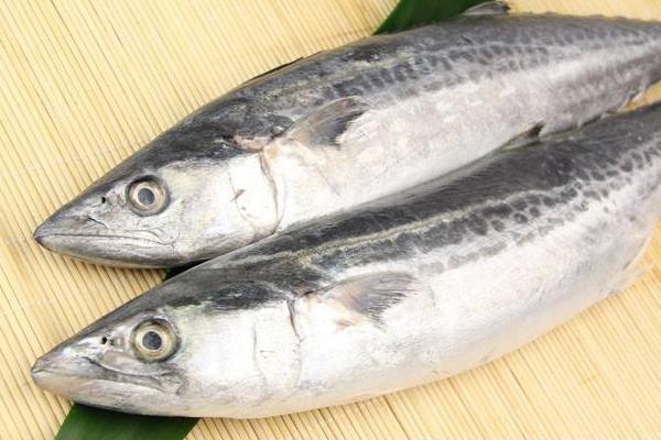 鲅魚怎么做好吃又簡單 鲅魚的家常做法大全