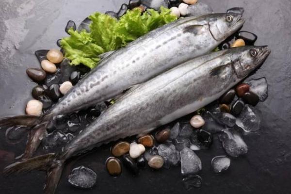 鲅魚怎么做好吃又簡單 鲅魚的家常做法大全