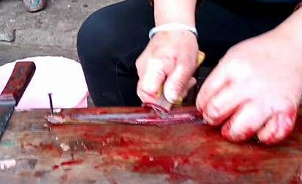 黃鱔死了還能吃嗎 什么人不能吃黃鱔