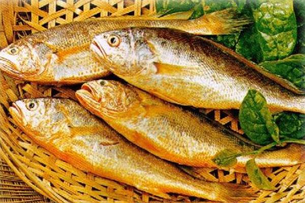 黃花魚功效與作用及禁忌 黃花魚的營養價值