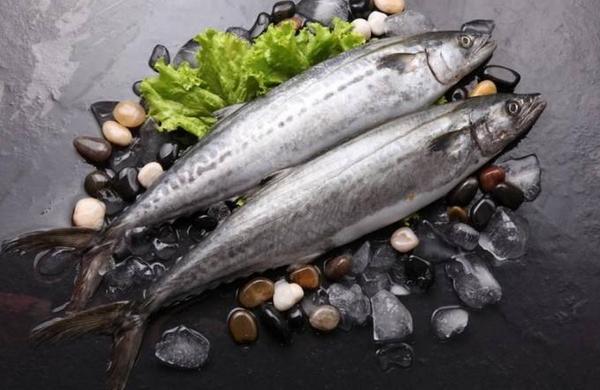 鲅魚和青魚的區別是什么 吃鲅魚的好處