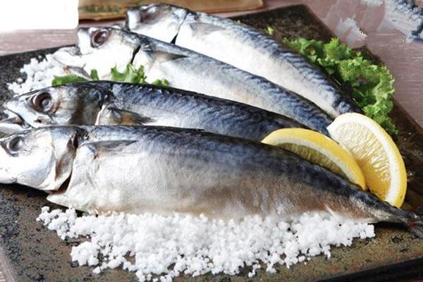 鲅魚是什么魚 鲅魚怎么去刺