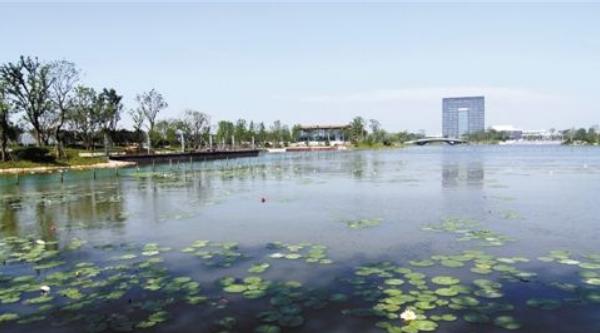 魚塘水草多怎么處理 水草怎么種植