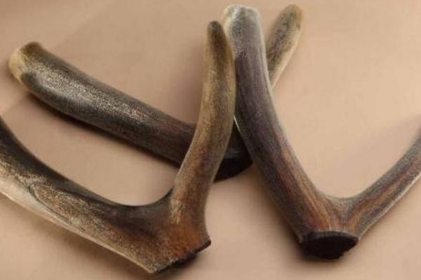 鹿茸市場價格多少錢一克 鹿茸適合什么人吃