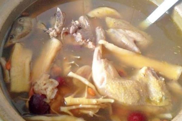 鷓鴣怎么做好吃又簡單鷓鴣燉什么好