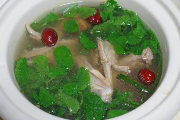 鷓鴣怎么做好吃又簡單鷓鴣燉什么好