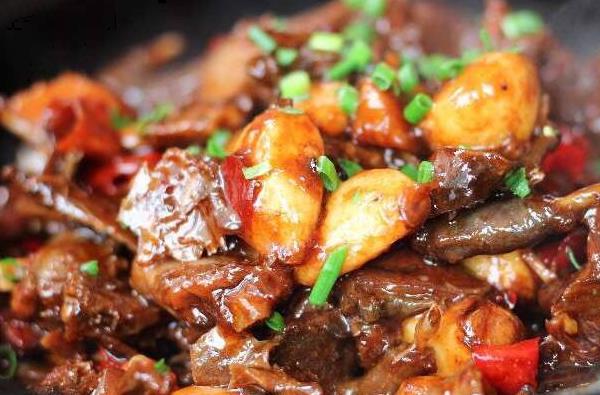 鷓鴣怎么做好吃又簡單鷓鴣燉什么好