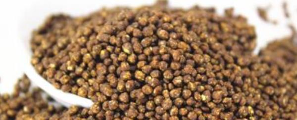 鵪鶉飼料配方與制作 產蛋鵪鶉飼料配方