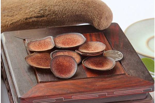 如何辨別鹿茸的真假 女人可以吃鹿茸嗎