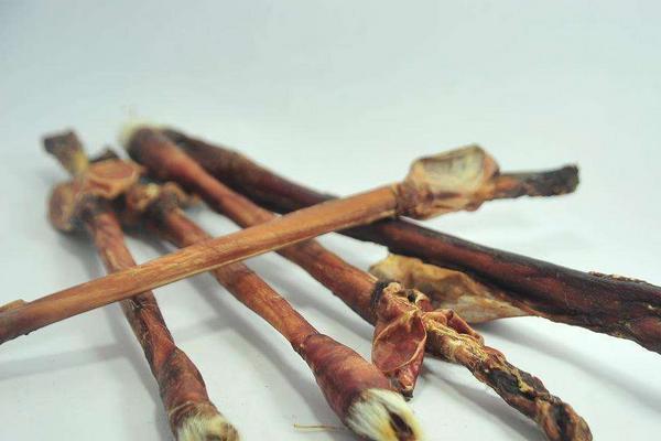 鹿鞭女人可以吃嗎 什么人不宜吃鹿鞭