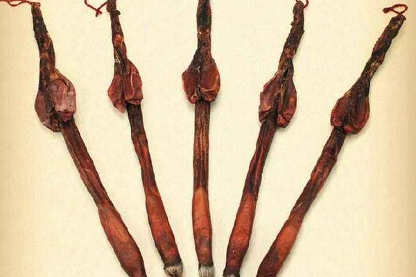 鹿鞭和牛鞭哪個更好 鹿鞭和牛鞭的區(qū)別是什么