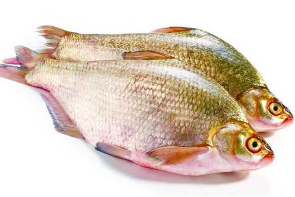 武昌魚怎么釣 釣武昌魚用什么餌料