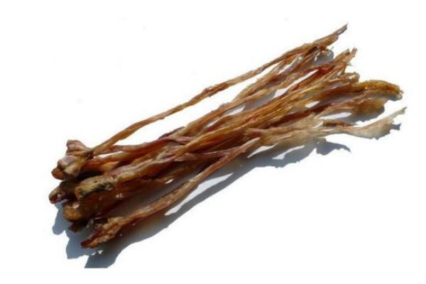 鹿筋怎么吃 鹿筋煲湯怎么做簡單又好吃