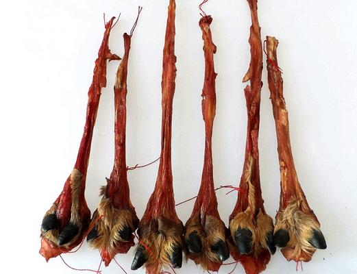 鹿筋怎么吃 鹿筋煲湯怎么做簡單又好吃