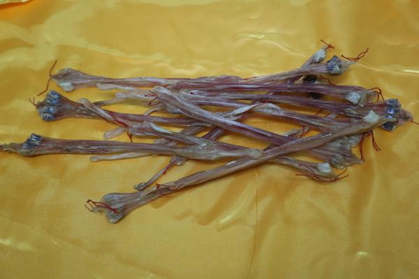 鹿筋的功效與作用及禁忌 鹿筋的食用方法