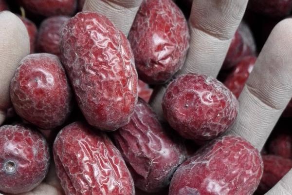 灰棗的功效與作用及禁忌 灰棗營養價值