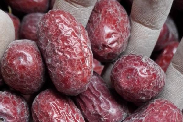 灰棗和駿棗的區別是什么