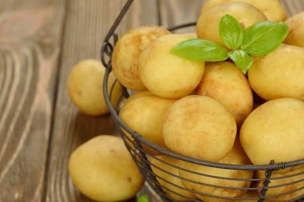 夢見馬鈴薯是什么意思 夢到滿地好多馬鈴薯有什么預兆