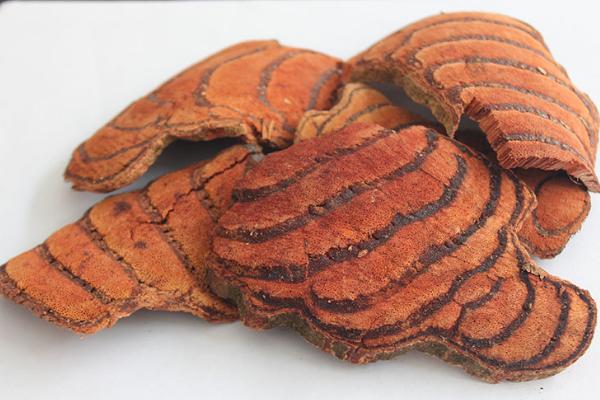  雞血藤功效與作用及禁忌 雞血藤藥用價(jià)值