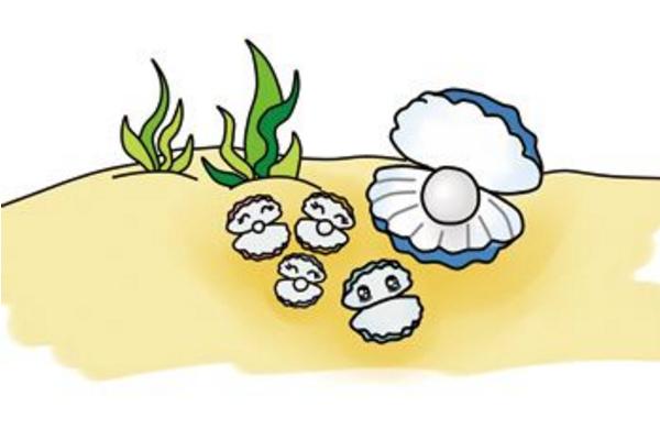 夢見蚌是什么意思 夢到撿大河蚌有什么預兆