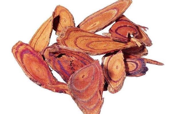  雞血藤功效與作用及禁忌 雞血藤藥用價值