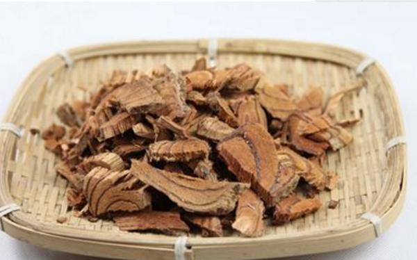  雞血藤功效與作用及禁忌 雞血藤藥用價值