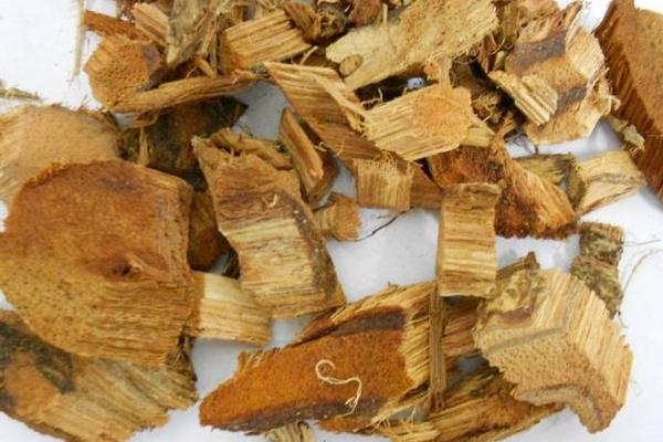  雞血藤功效與作用及禁忌 雞血藤藥用價值