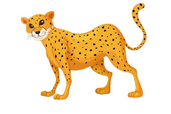 夢見豹子是什么意思 孕婦夢到豹子有什么預兆