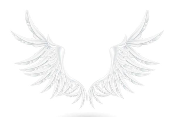 夢(mèng)見(jiàn)長(zhǎng)了翅膀是什么意思 夢(mèng)到自己有翅膀可以飛有什么預(yù)兆