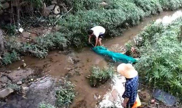 夢見抓魚是什么意思 夢到和好多人一起抓魚有什么預兆