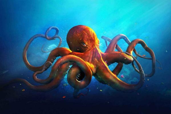 夢(mèng)見(jiàn)八爪魚(yú)是什么意思 女人夢(mèng)到八爪魚(yú)有什么預(yù)兆