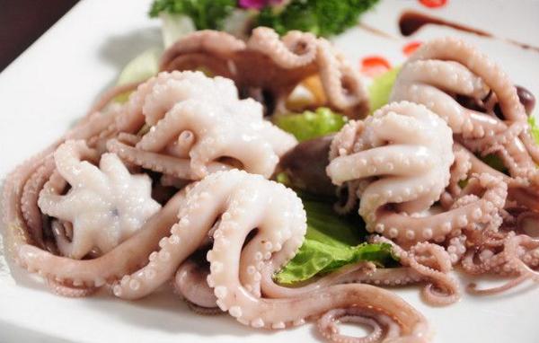 夢(mèng)見(jiàn)八爪魚(yú)是什么意思 女人夢(mèng)到八爪魚(yú)有什么預(yù)兆