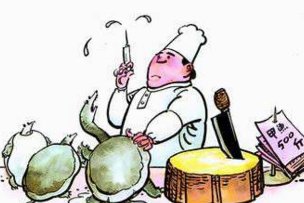 夢見王八是什么意思 女人夢到好多王八有什么預兆