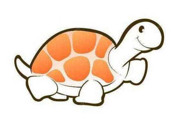 夢見王八是什么意思 女人夢到好多王八有什么預兆