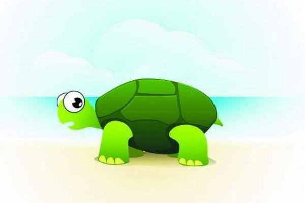 夢見王八是什么意思 女人夢到好多王八有什么預兆