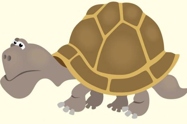 夢(mèng)見(jiàn)龜是什么意思 女人夢(mèng)到抓烏龜有什么預(yù)兆