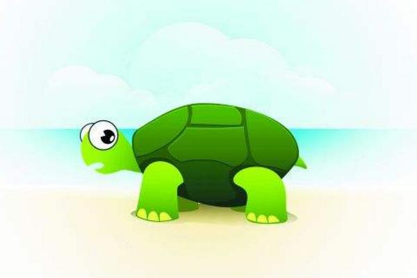 夢見龜是什么意思 女人夢到抓烏龜有什么預兆