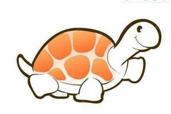 夢見龜是什么意思 女人夢到抓烏龜有什么預兆