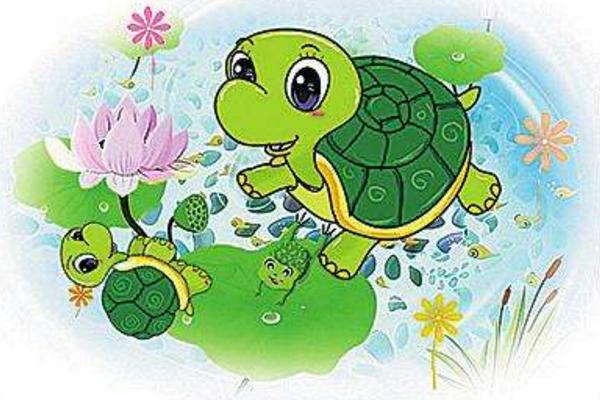 夢見龜是什么意思 女人夢到抓烏龜有什么預兆